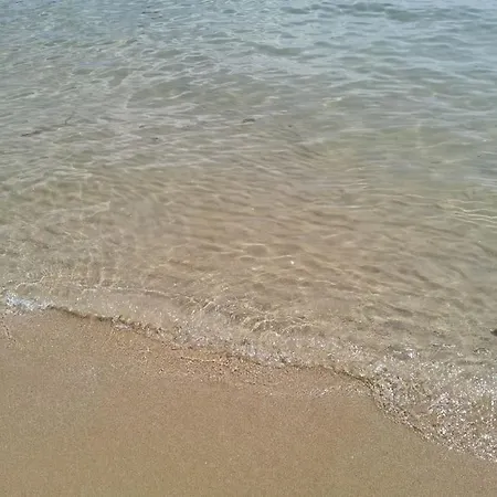 Kalia Apartments, Sunny Beach, Kalia Apartcomplex, Nesebar, 8240, 8240, Bulgaria 阳光海滩